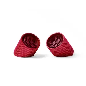 Ray Speaker